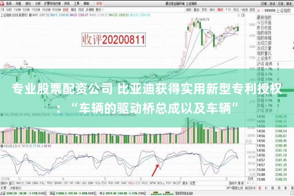 专业股票配资公司 比亚迪获得实用新型专利授权：“车辆的驱动桥总成以及车辆”