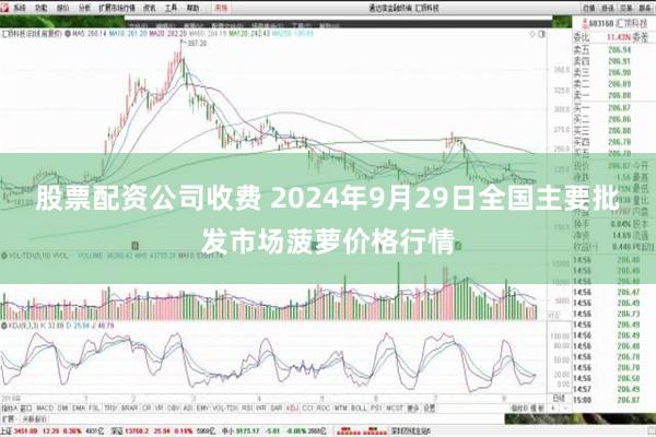 股票配资公司收费 2024年9月29日全国主要批发市场菠萝价格行情