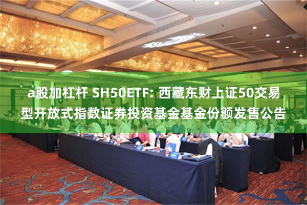 a股加杠杆 SH50ETF: 西藏东财上证50交易型开放式指数证券投资基金基金份额发售公告