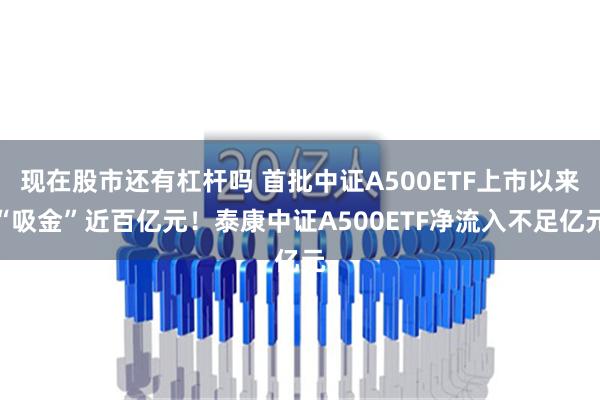 现在股市还有杠杆吗 首批中证A500ETF上市以来“吸金”近百亿元！泰康中证A500ETF净流入不足亿元