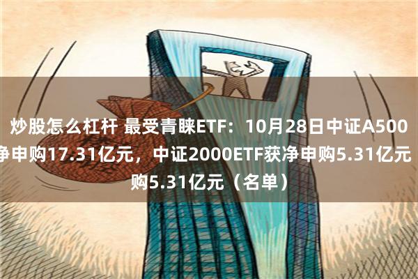 炒股怎么杠杆 最受青睐ETF：10月28日中证A500ETF获净申购17.31亿元，中证2000ETF获净申购5.31亿元（名单）