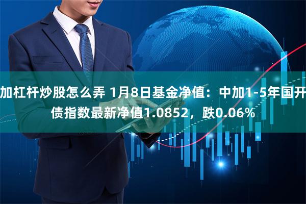 加杠杆炒股怎么弄 1月8日基金净值：中加1-5年国开债指数最新净值1.0852，跌0.06%